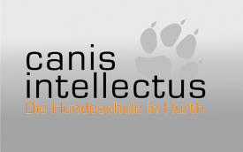 canis intellectus - Die Hundeschule in Hürth